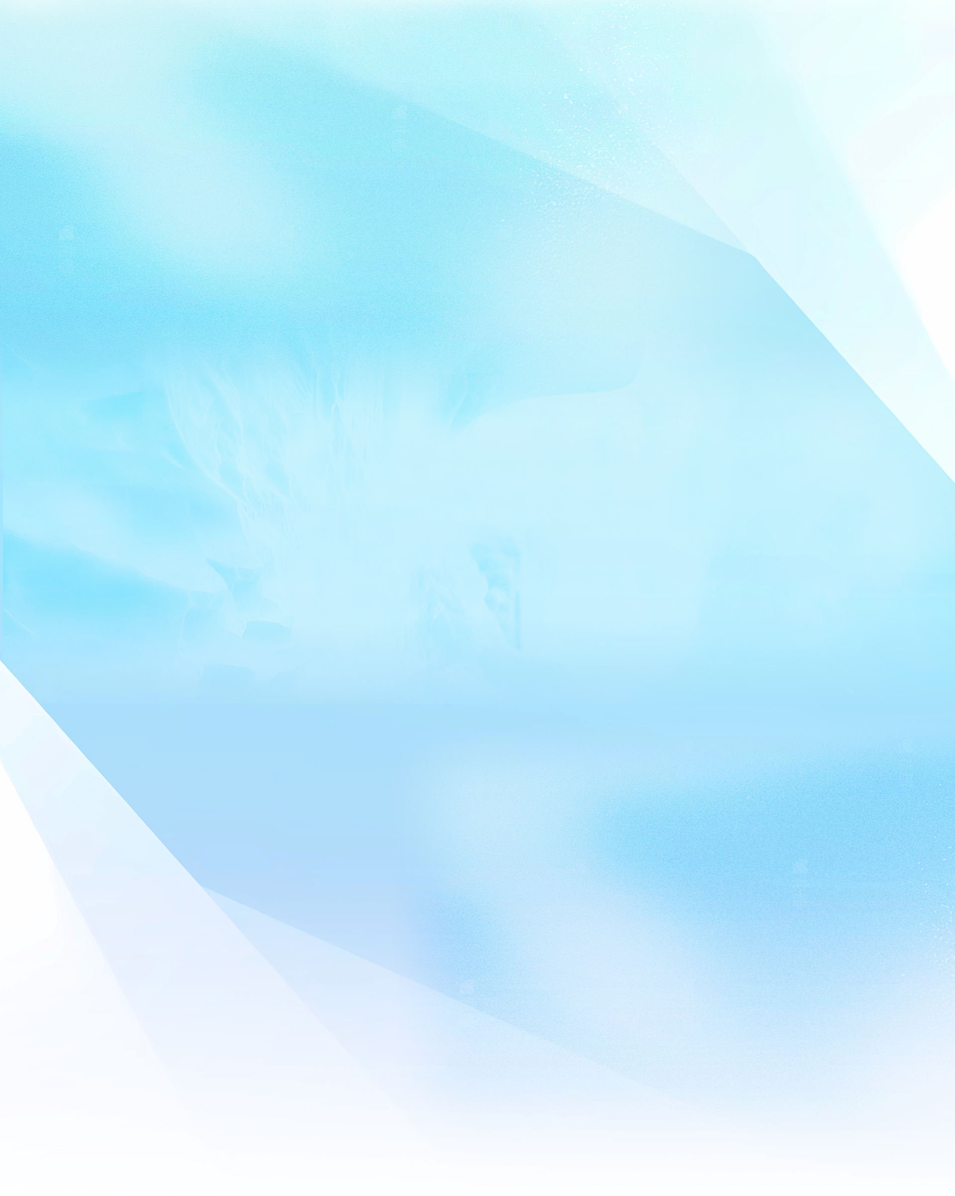 鉴黑担保网官网