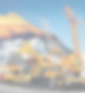 鉴黑担保网官网